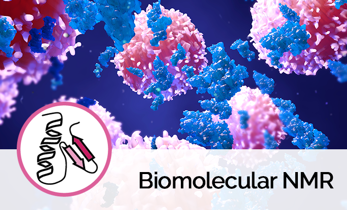 Biomolecular NMR