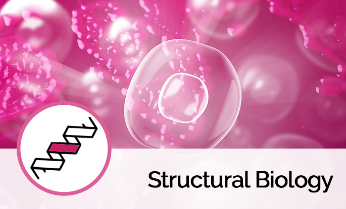 Structural Biology