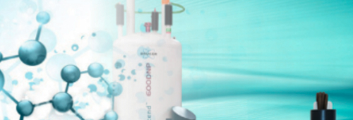 DNP Rotors & Radicals