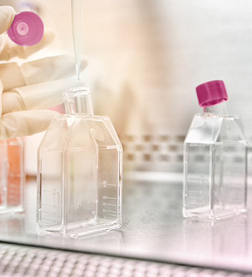 Enriched growth media for protein production in bacteria